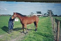 ��� (YONG-A) ����