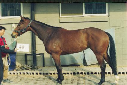 ĳ��� ����