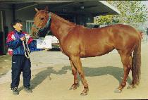 �����ġ�� (TAEAM PUNCH BOWL) ����