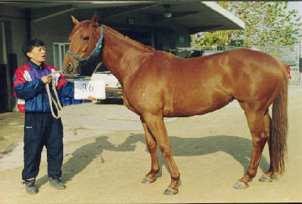 �����ġ�� ����