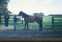 �Ļ����� (P��ASA HYEONJEONG) ����