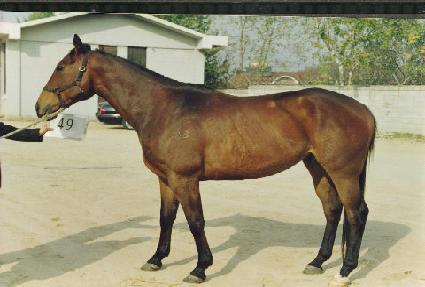 ���� ����