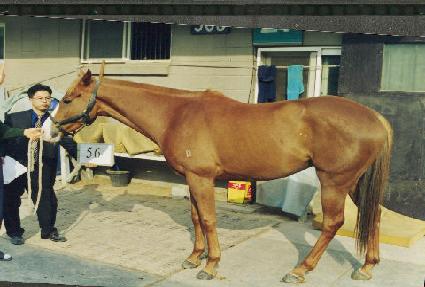 ������ư ����