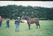 �����巹���� (PROUD LEGEND) ����