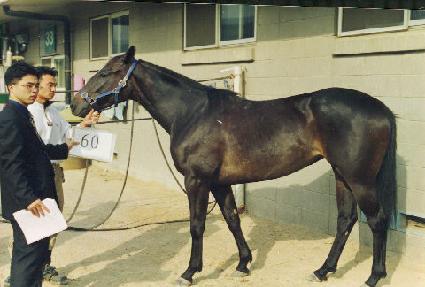 ���Ӹ���Ŀ ����