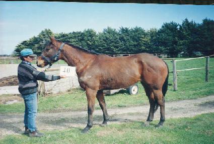 ���̵�ξƸ� ����