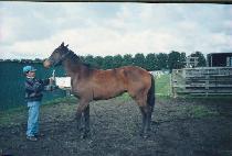 �ñݼ� (SHIGEUMSEOK) ����