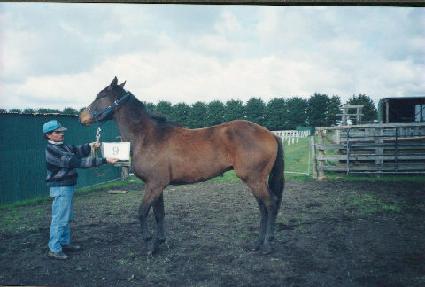 �ñݼ� ����