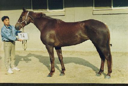 ����Ŭ���� ����