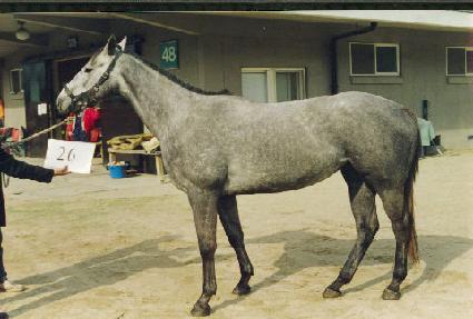 ���̽ú�� ����