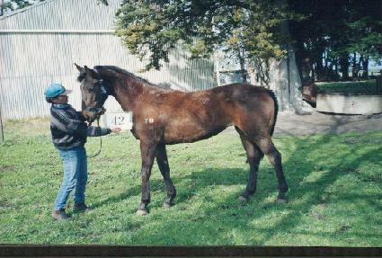 �ý��ʹ��� ����