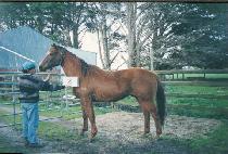 �º��� (GOOD BOY) ����