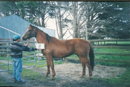 �º��� ����