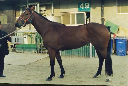 ��������� ����