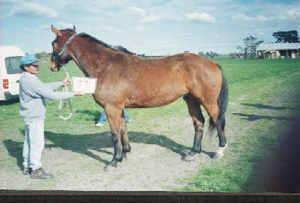 �θ�� ����