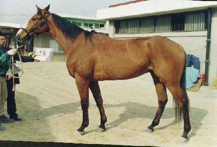 ���� ����