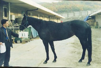 �˺� ����