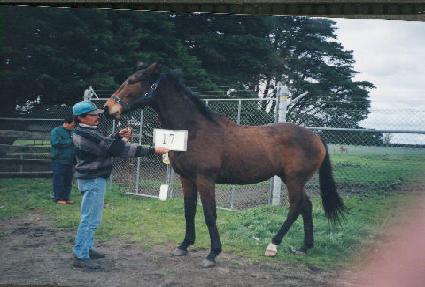 ��ݶ� ����