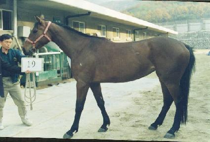 ���� ����