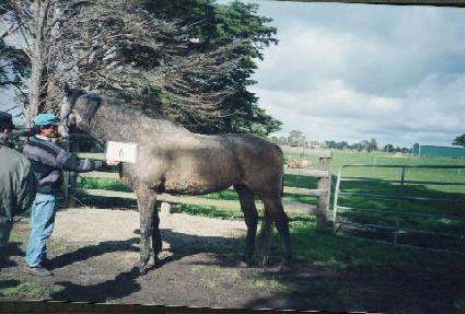 �����ĵ�� ����