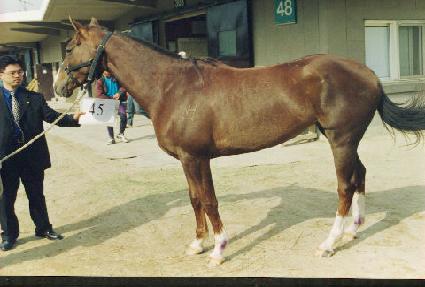 ���̵𸰴� ����