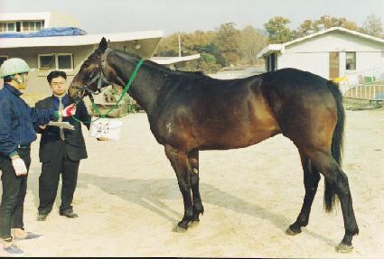 ����� ����