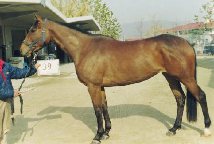 ��ó�� ����