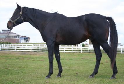 Ÿ�ӽ�Ÿ ����