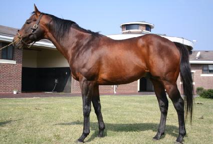 ��Ʈ������ ����