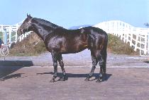 FUTURE QUEST picture