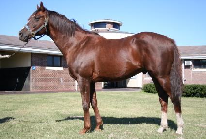 ��ñ״� ����