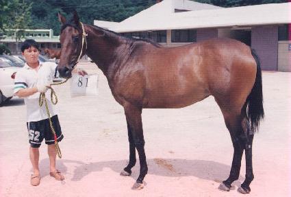 ������ ����