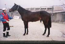 ǳ��Ҹ� (P��UNGGYEONG SORI) ����