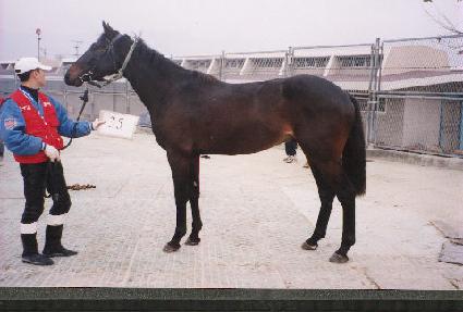 ǳ��Ҹ� ����