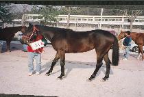 ��� (TAEGEOL) ����