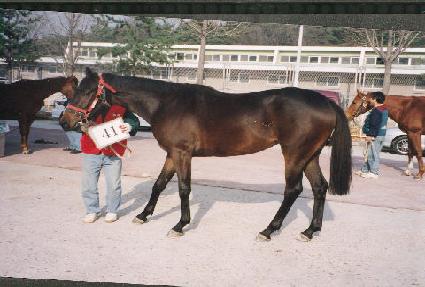 ��� ����