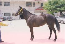 ����ǥ�� (KEOMEUN P��YOBEOM) ����