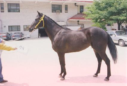 ����ǥ�� ����