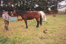 Ȱ�� (HWALMI) ����