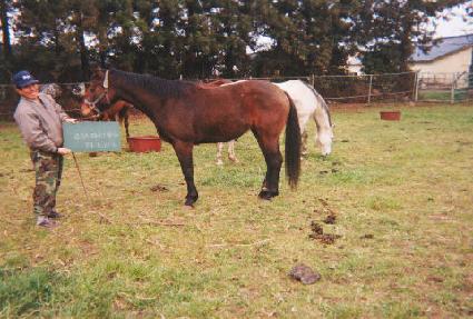 Ȱ�� ����