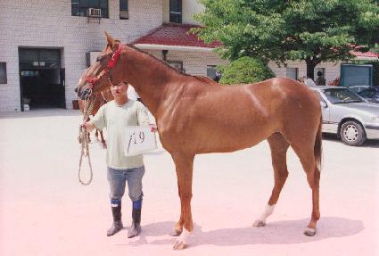 ���� ����