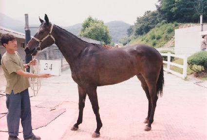 �������� ����