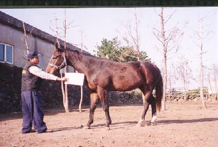 ���ٶ� ����