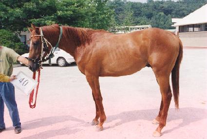 ȭ��� ����