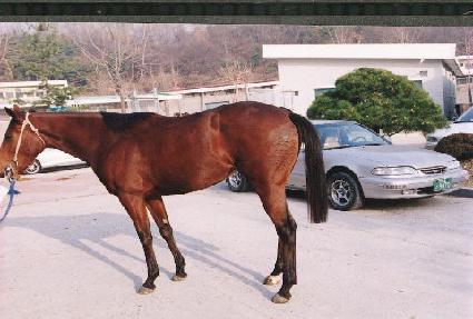 �����⵵ ����