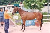 ������ (SLUGGER) ����