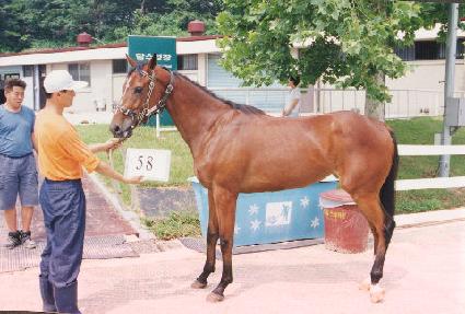 ������ ����