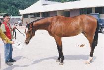 ��ǳ (PUKP��UNG) ����