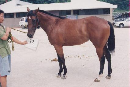 ����Ž� ����