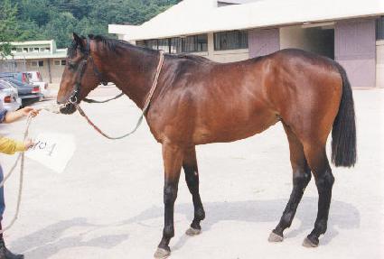 �����ٶ� ����